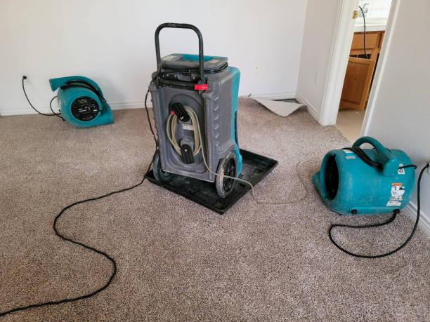 Best Carpet water damage restoration  in Harrisville, PA