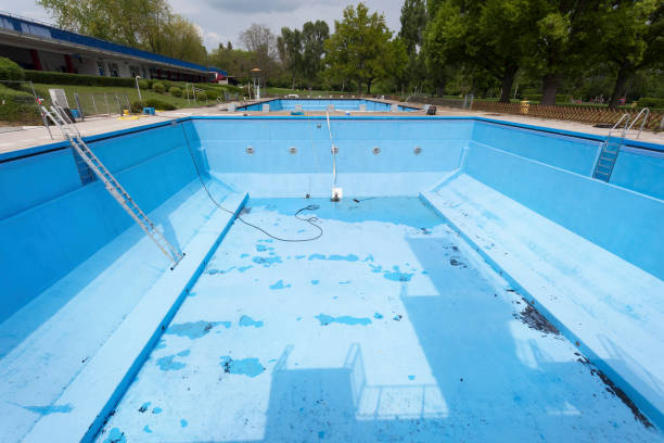 Best Mold removal after water damage  in Harrisville, PA