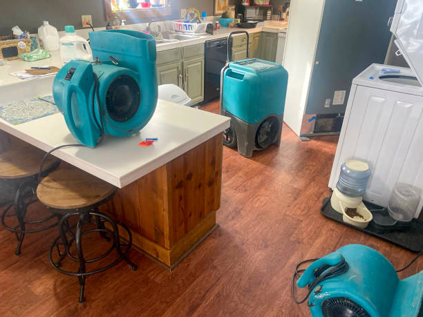  Harrisville, PA Water damage restoration Pros