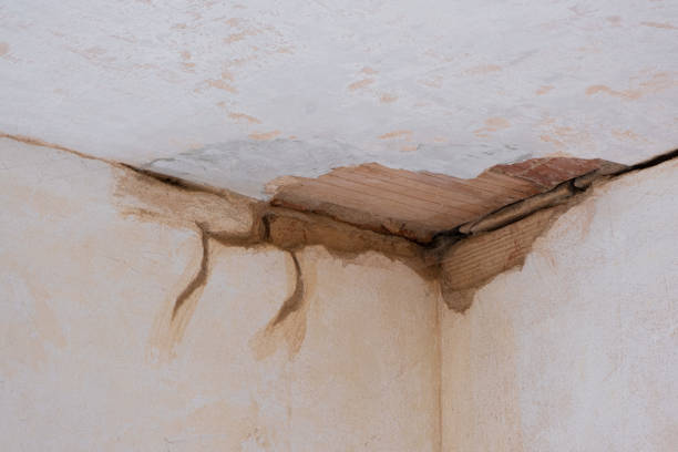 Best Local water damage restoration  in Harrisville, PA