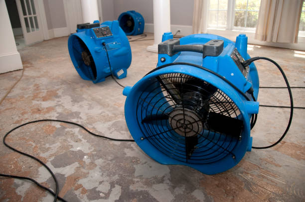 Best Water damage restoration near me  in Harrisville, PA